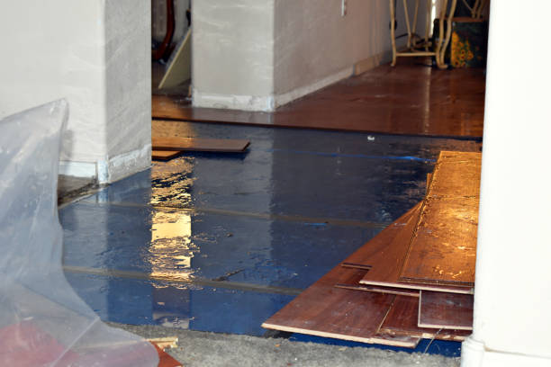 Professional Basement Flood Cleanup technician working in Austinburg, OH